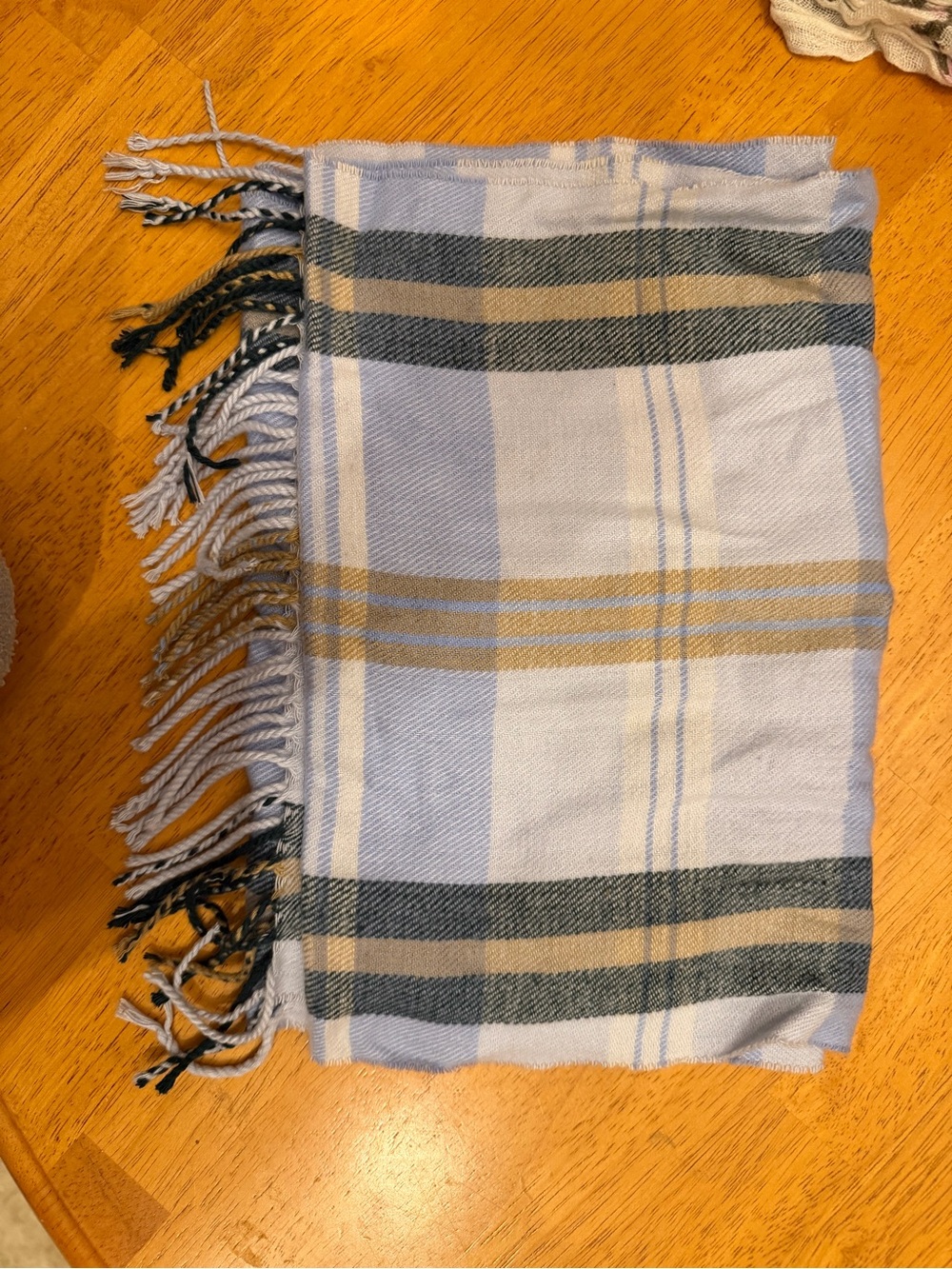 Light Blue Plaid Fringe Throw Blanket by